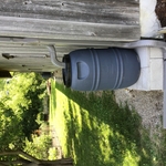 Rain Barrell