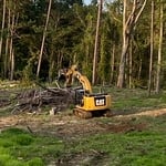 Clean up after storm