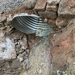 Landscaping Project