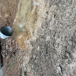 Landscaping Project