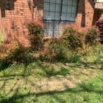 Landscaping Project