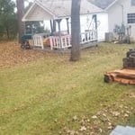 Leaf cleanup