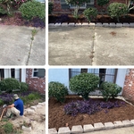 We clean it out totally then install mulch