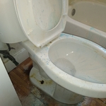 Housecleaning Project