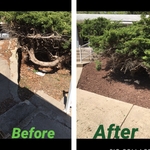 Mulch