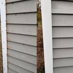 Before and after
