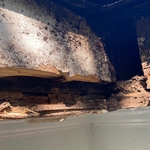 Rotten facial boards