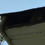 Rotten parts of rafter and facial boards