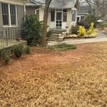 Leaf Removal Project
