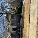 Leaf Removal Project