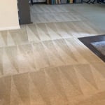 Carpet Cleaning Project