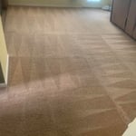Carpet Cleaning Project