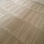 Carpet Cleaning Project