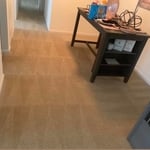 Carpet Cleaning Project