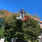 Additional Photos