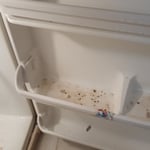 Before pic of refrigerator
