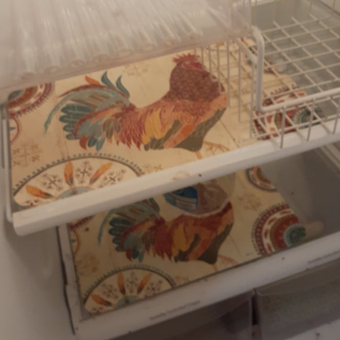 before pics of refrigerator