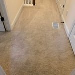 Carpet Cleaning Project
