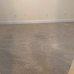 Carpet Cleaning Project