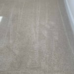 Carpet Cleaning Project