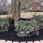 retaining wall with black mulch.