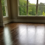 Move-in/out Cleaning