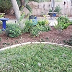 Landscaping Project