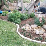 Landscaping Project