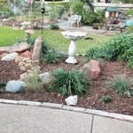 Landscaping Project