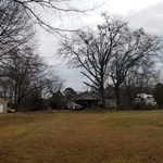 Tree Service Project