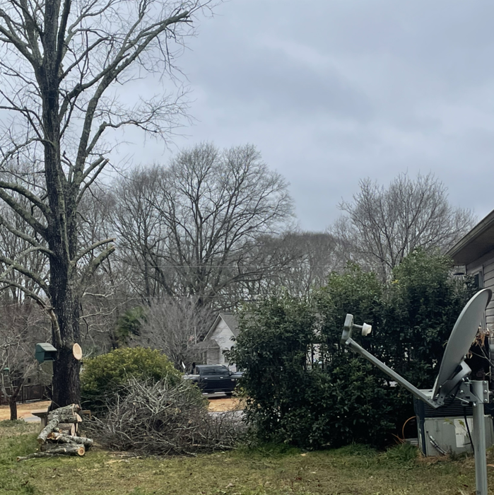 Additional Photos