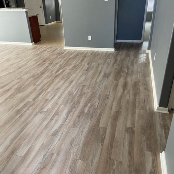 Housecleaning Project