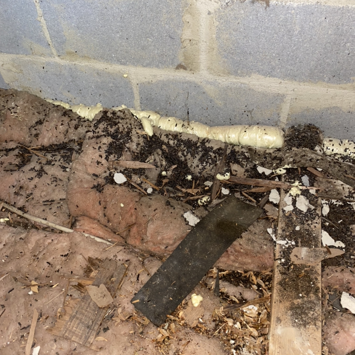 Additional Photos