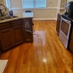 Housecleaning Project