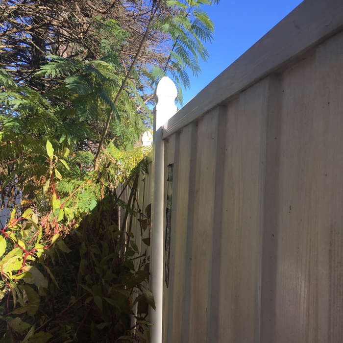 Additional Photos