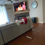 Housecleaning Project