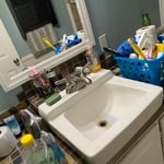 Housecleaning Project