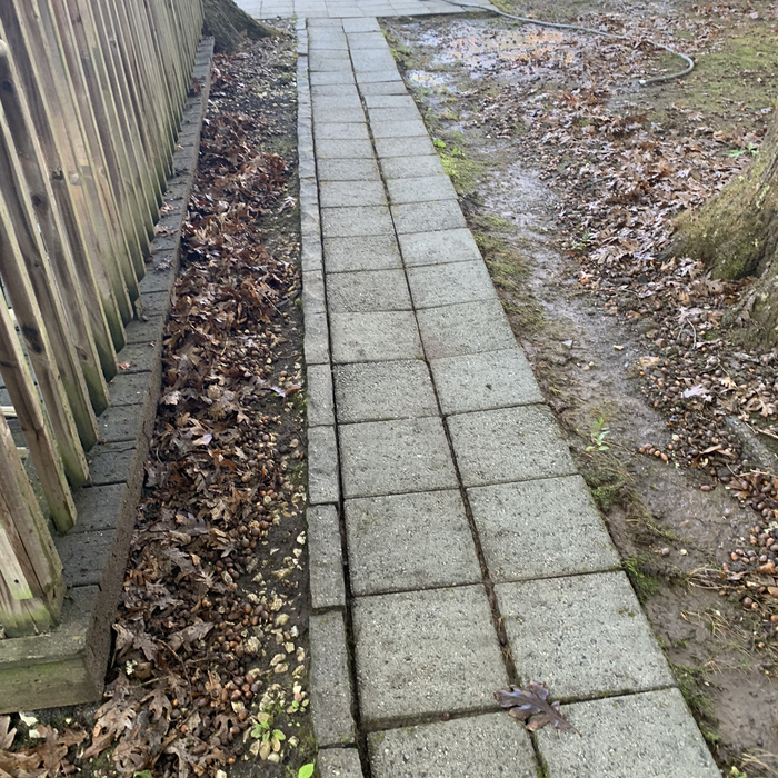 Additional Photos
