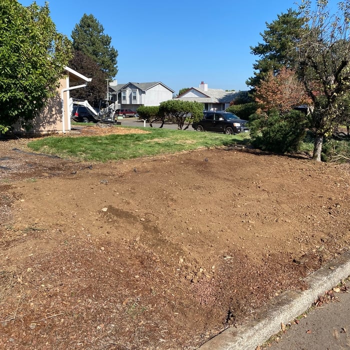 Sewer Line Repair
