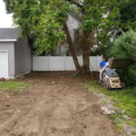 Tree cutting