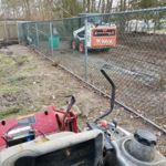 Tree cutting