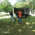 Tree cutting