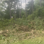 Clearing of 1/2 an Acre