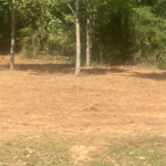 Clearing of 1/2 an Acre