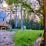 Tree Service Project
