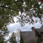 Tree Service Project