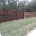New stain on old fence.