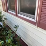 Pressure Washing Project