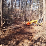 Remove Fallen Trees