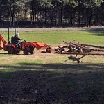 Customer wanted trees piled to burn
